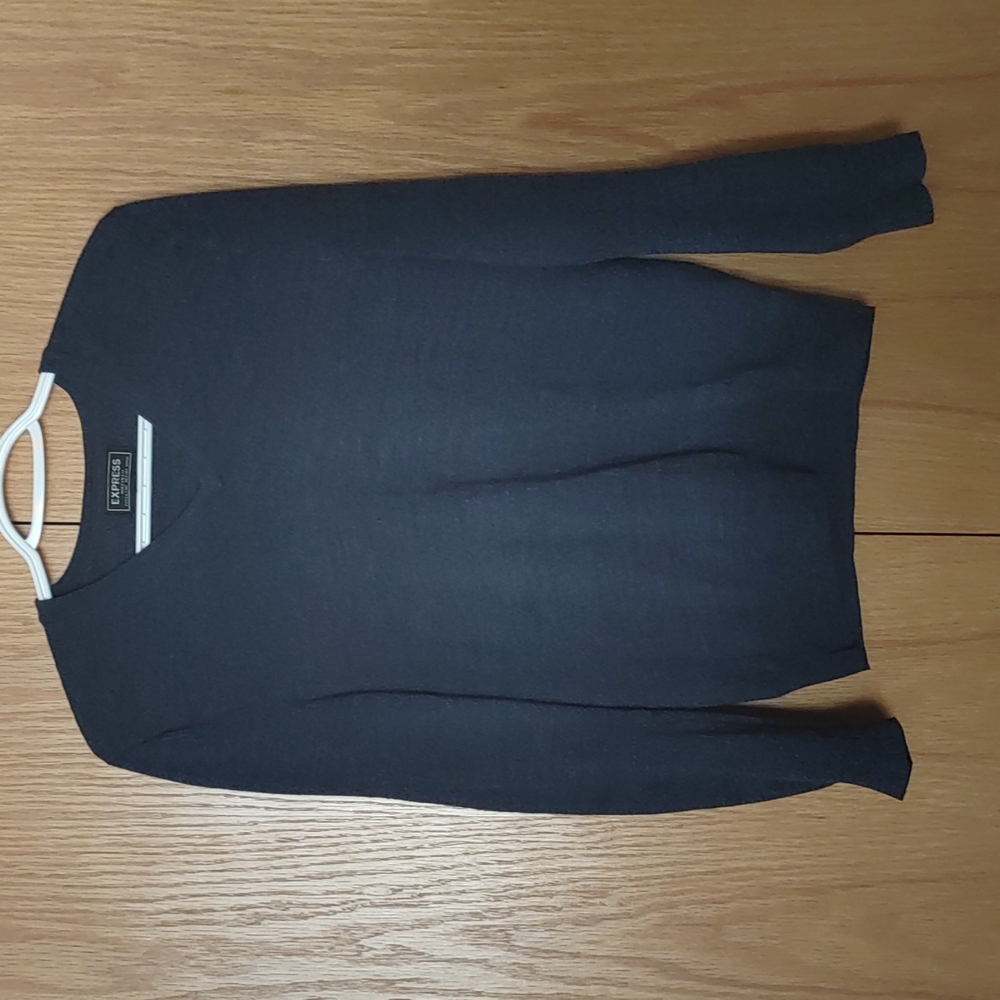 Express Slim V Neck MERINO Wool Sweater